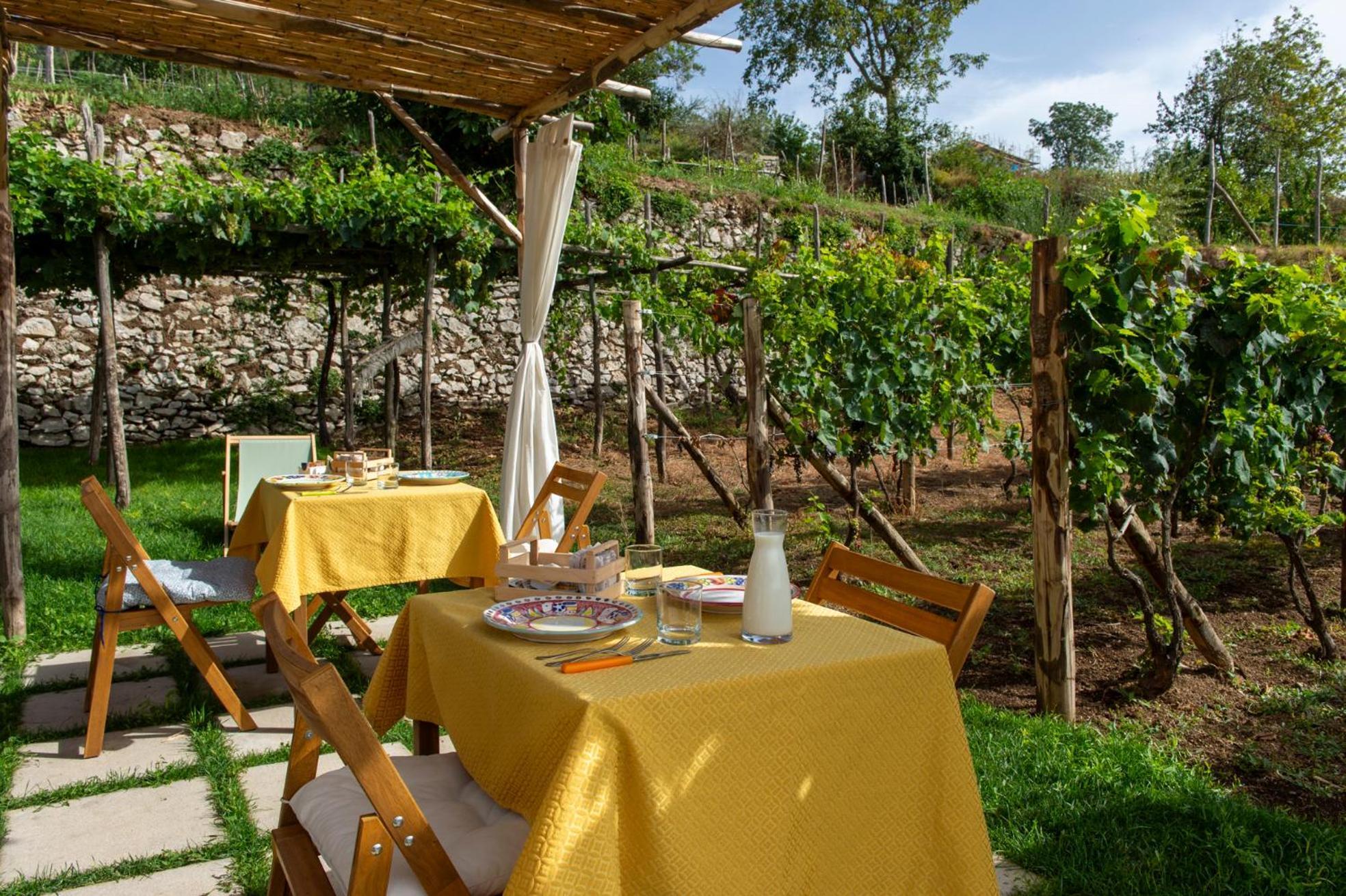 Il Vigneto Di Nonno Pietro Bed and Breakfast Agerola Exteriör bild