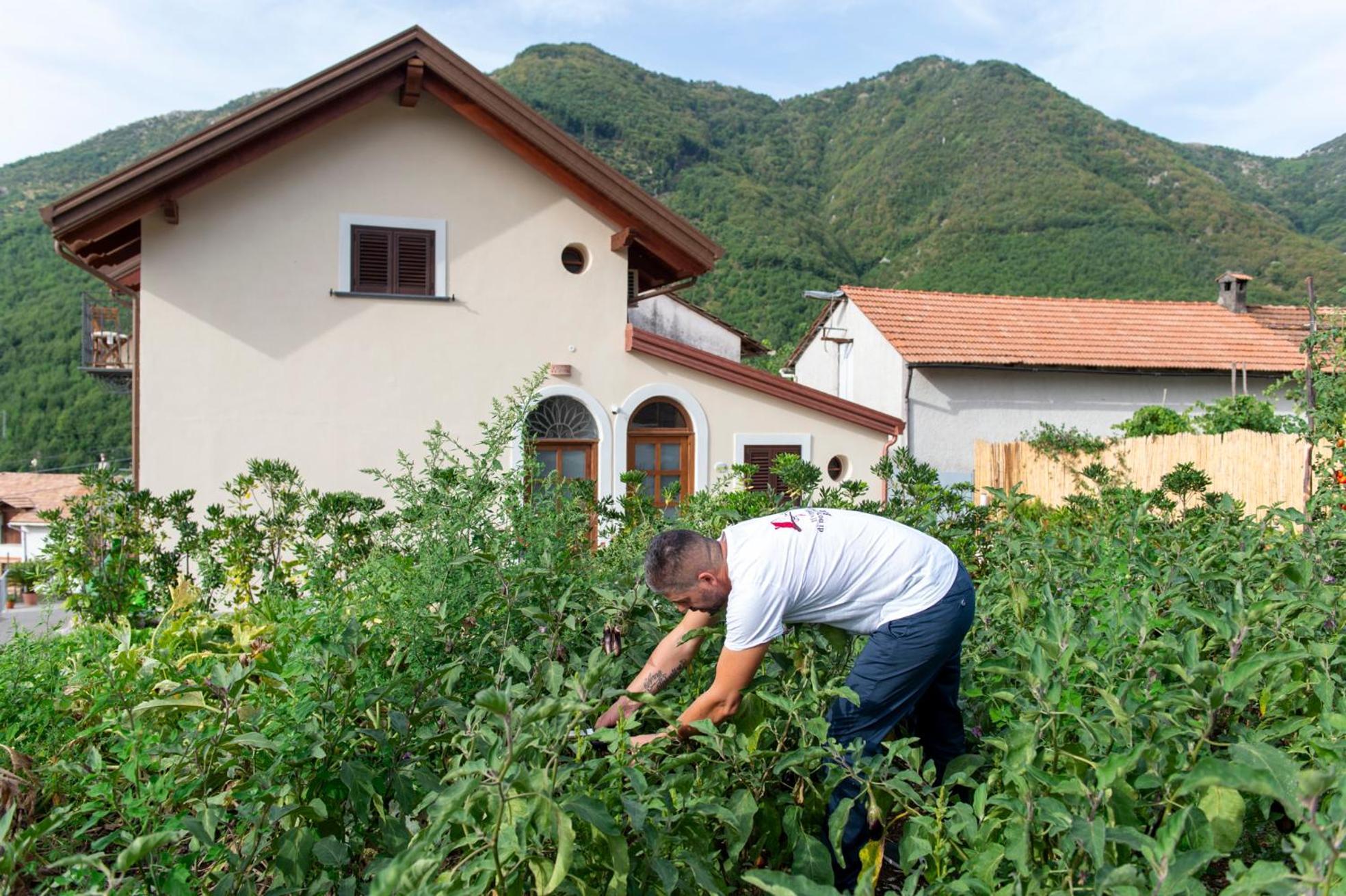 Il Vigneto Di Nonno Pietro Bed and Breakfast Agerola Exteriör bild