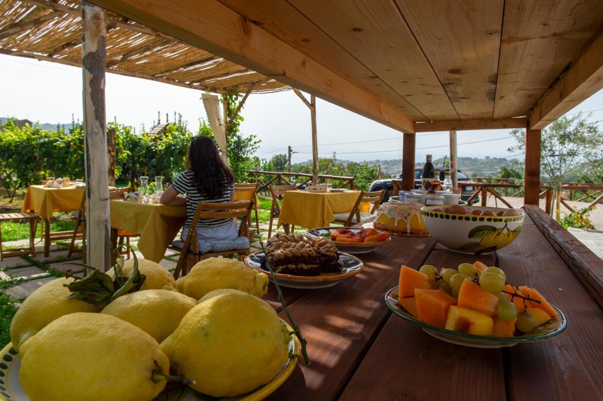 Il Vigneto Di Nonno Pietro Bed and Breakfast Agerola Exteriör bild