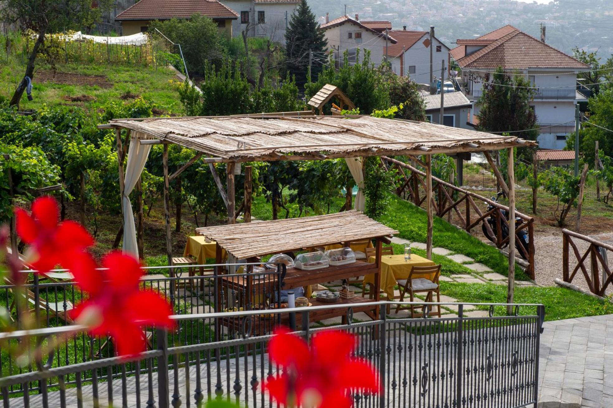 Il Vigneto Di Nonno Pietro Bed and Breakfast Agerola Exteriör bild
