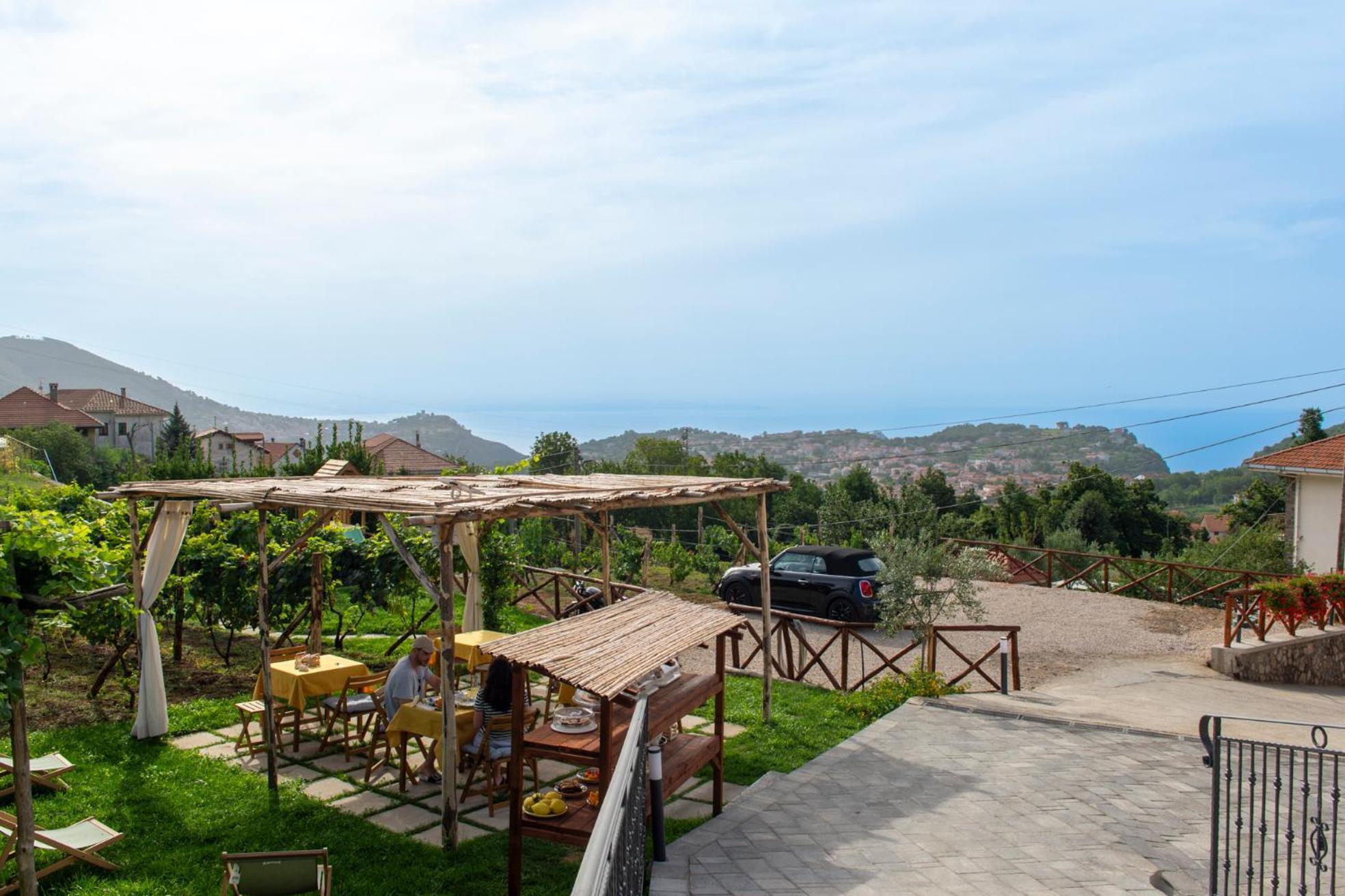 Il Vigneto Di Nonno Pietro Bed and Breakfast Agerola Exteriör bild