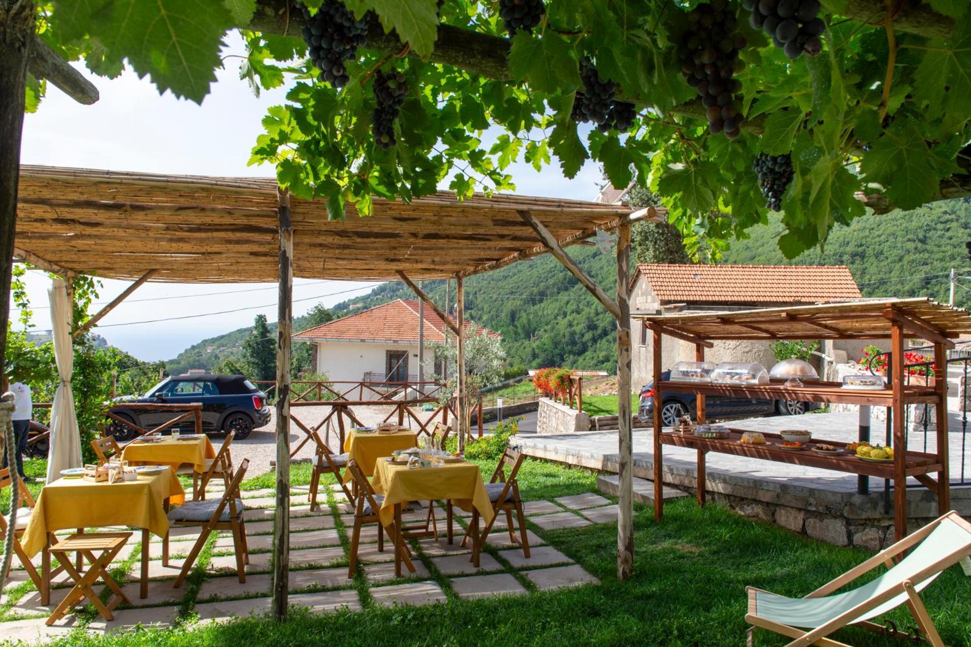 Il Vigneto Di Nonno Pietro Bed and Breakfast Agerola Exteriör bild