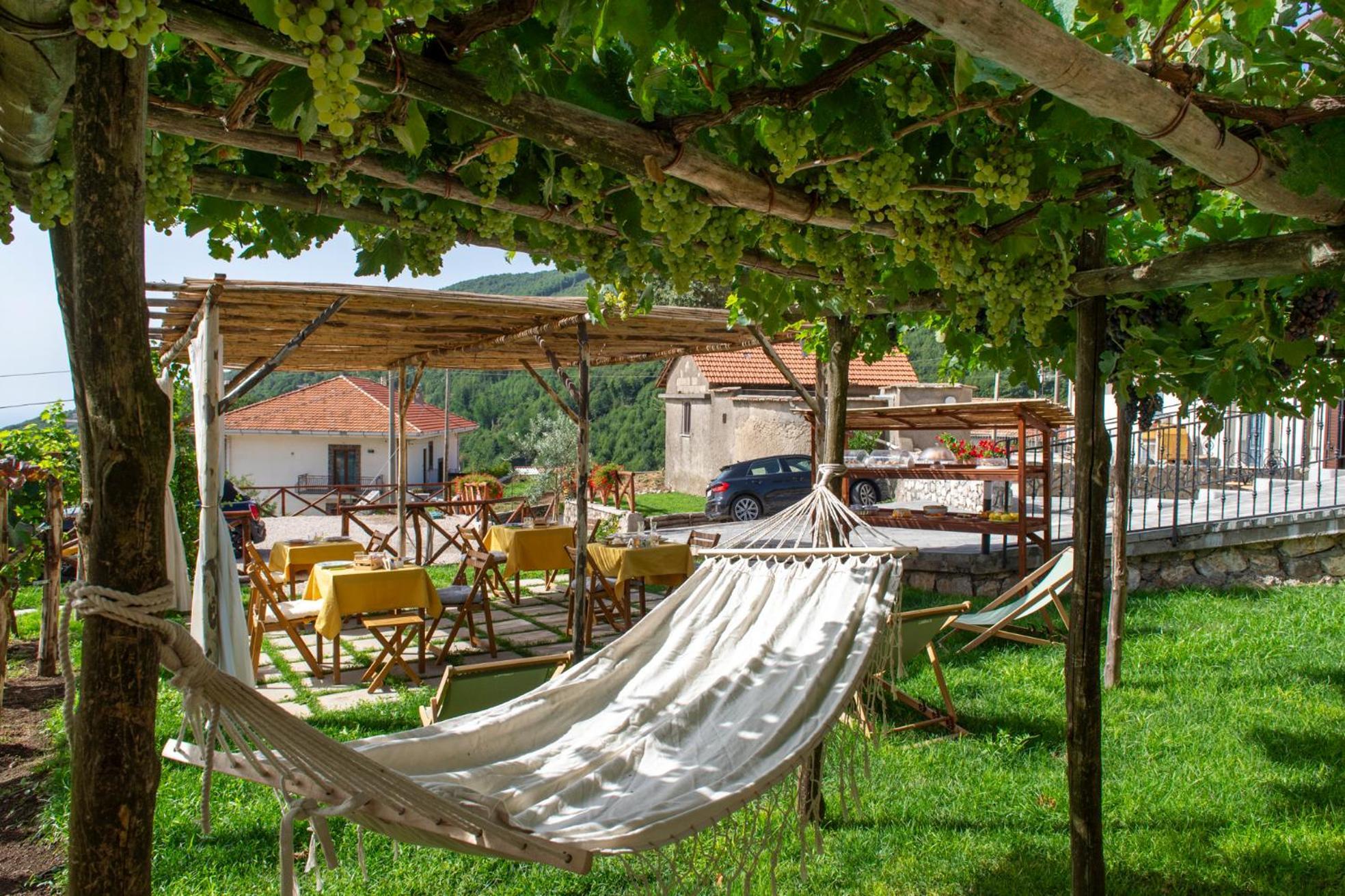 Il Vigneto Di Nonno Pietro Bed and Breakfast Agerola Exteriör bild
