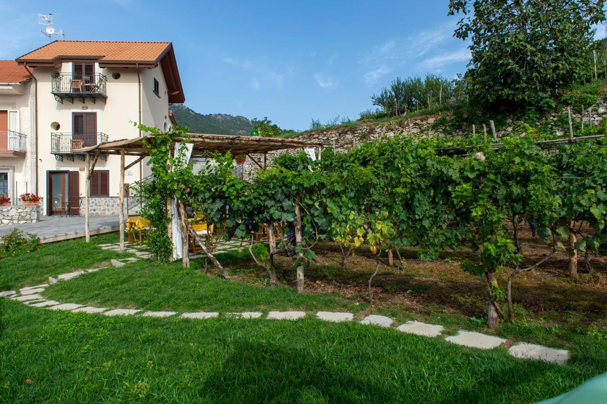 Il Vigneto Di Nonno Pietro Bed and Breakfast Agerola Exteriör bild
