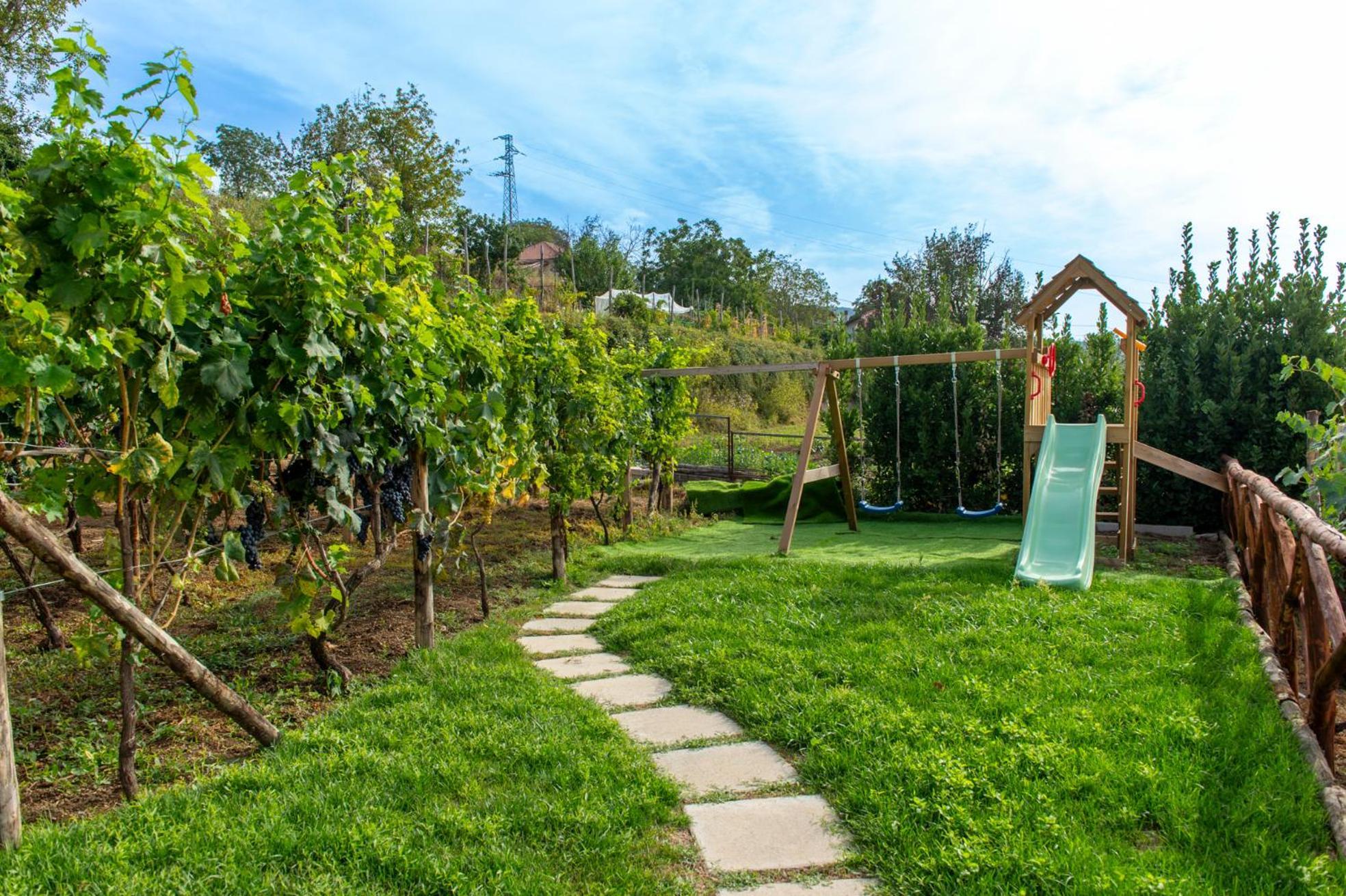 Il Vigneto Di Nonno Pietro Bed and Breakfast Agerola Exteriör bild
